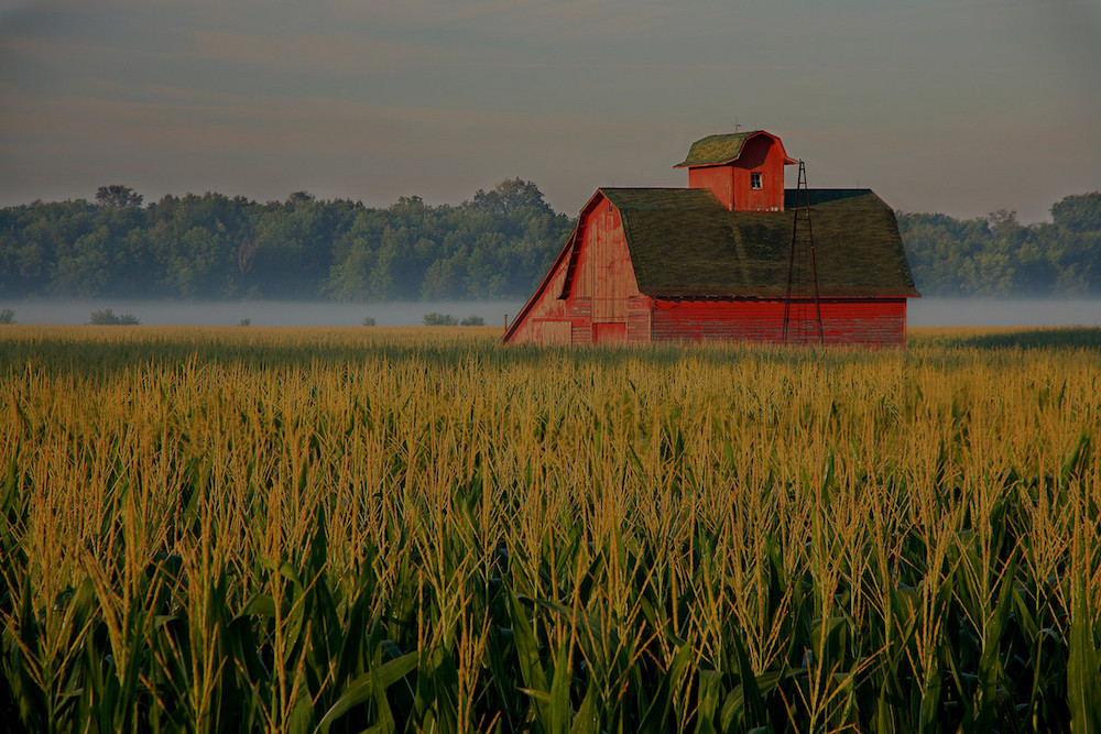 farm and crop insurance Phoenix AZ